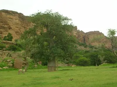 Orona Ireli 400 300.jpg